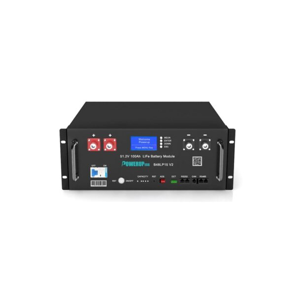 [B48LPI5 V2] 51.2V Lithium Iron Phosphate 100Ah 48v 4 U rack mounted battery